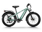 Himiway D5 Zebra Fatbike in Grün – vielseitiges elektrisches Fatbike für jedes Gelände