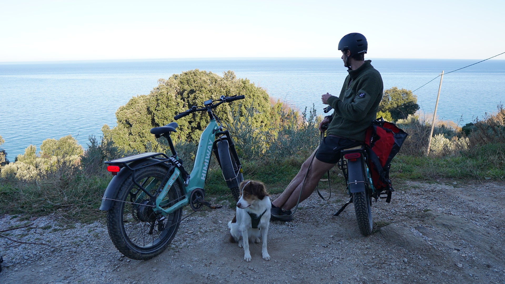 Zwei Himiway D5 Fatbikes in Blau und Schwarz auf einem Berg mit Meerblick, ein Mann lehnt am schwarzen Fatbike, neben ihm sitzt ein Hund.