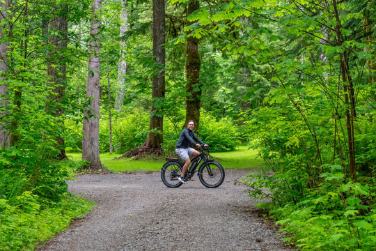 Snelheid e-bike