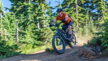 Hydraulische vs. Mechanische Scheibenbremsen für E-Bikes