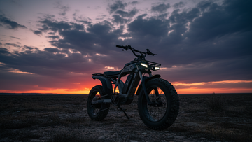 Die besten vierrädrigen E-Bike-Marken: 4-Rad-E-Bikes im Vergleich
