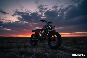 Die besten vierrädrigen E-Bike-Marken: 4-Rad-E-Bikes im Vergleich