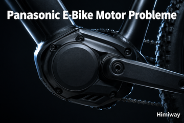 Panasonic E-Bike Motor Probleme