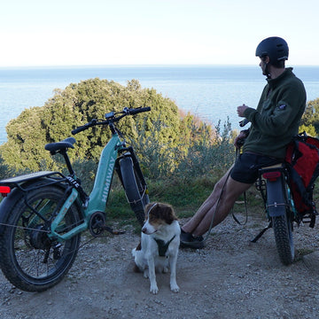 Himiway E-Gravel Bikes für Abenteuer & Alltag