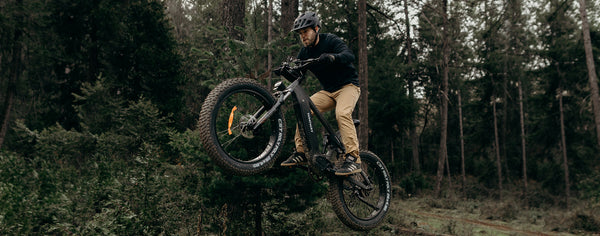 Mountain eBike