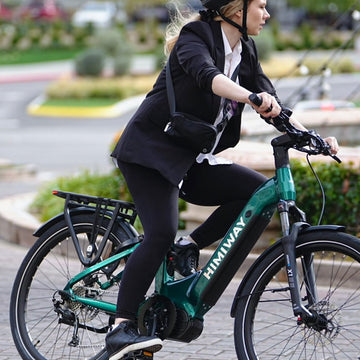 250 Watt E-Bike
