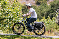 Trekking E-Bike