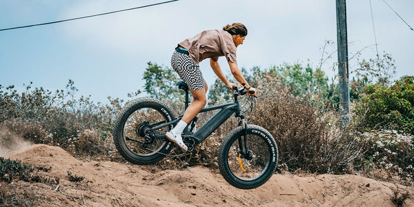 ebike 26 zoll fatbike
