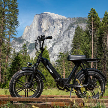 20 zoll e-bike für erwachsene