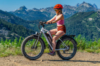 Damen e Bike