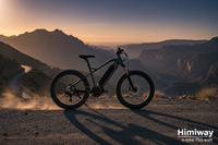 e-bike 750 watt
