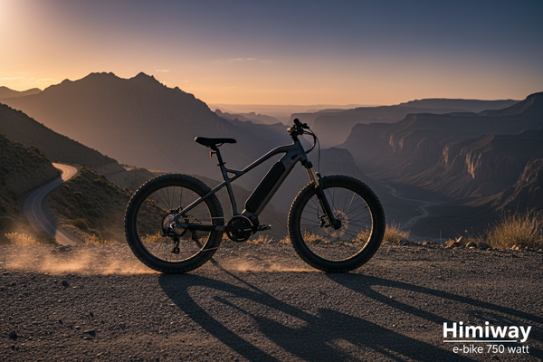 e-bike 750 watt