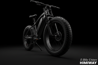 E-Bike Unisex