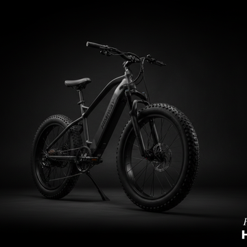 Herren E-Bike