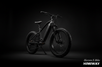 Herren E-Bike