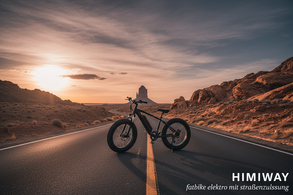 fatbike elektro mit straßenzulassung