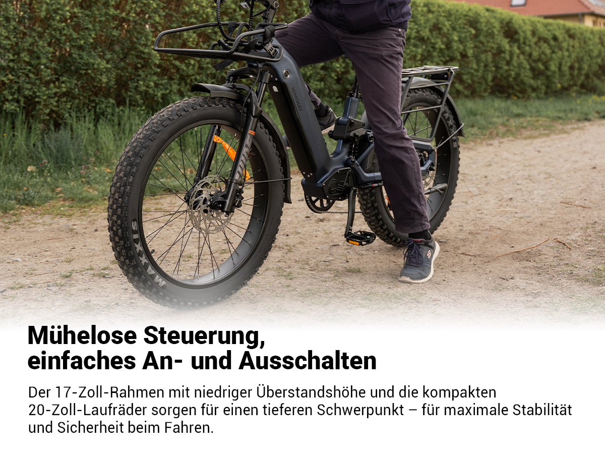 Himiway D5 2.0 ST eBike