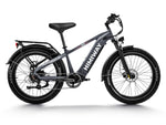 Himiway D5 Zebra Step-Over Fatbike in Grau – vielseitiges elektrisches Fatbike für jedes Gelände