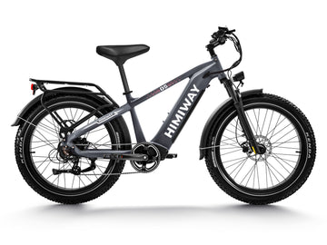 Himiway D5 Zebra Step-Over Fatbike in Grau – vielseitiges elektrisches Fatbike für jedes Gelände