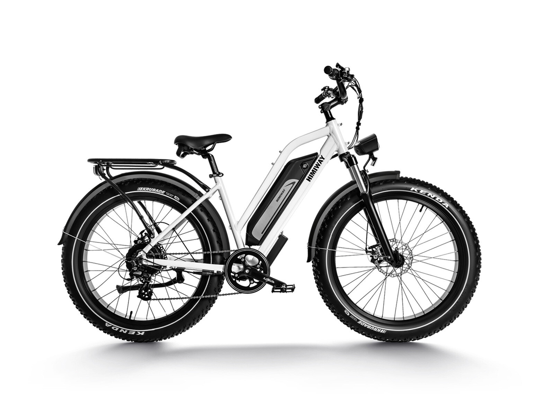 Himiway D3 (Cruiser) | All Terrain Elektrofahrrad