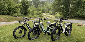 Himiway D5 Fatbikes in drei verschiedenen Farben auf grünem Gras