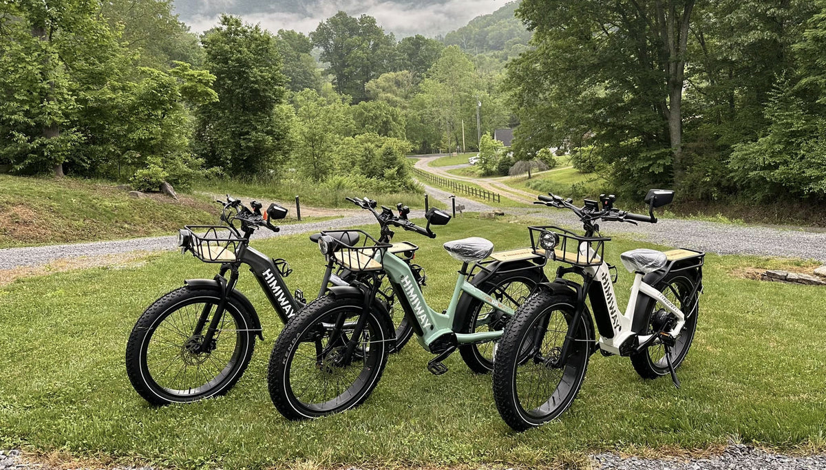 Himiway D5 Fatbikes in drei verschiedenen Farben auf grünem Gras