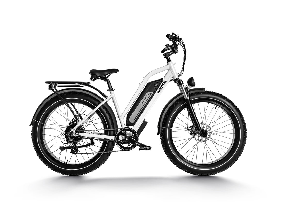 Himiway D3 (Cruiser) | All Terrain Elektrofahrrad