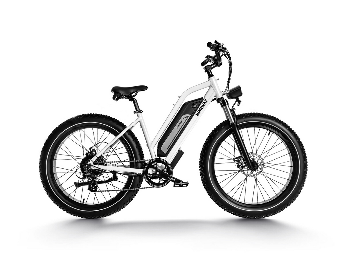 E-Bike-Motor: Wie viel Nm sollte ein E-Bike haben? | Himiway