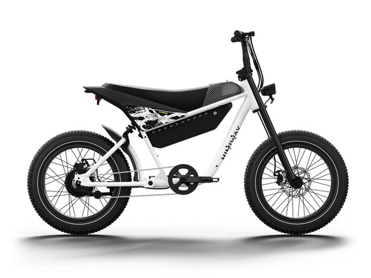 Premium Moped Style E Bike Himiway C5