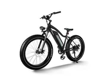 Himiway D3 (Cruiser) | All Terrain Elektrofahrrad