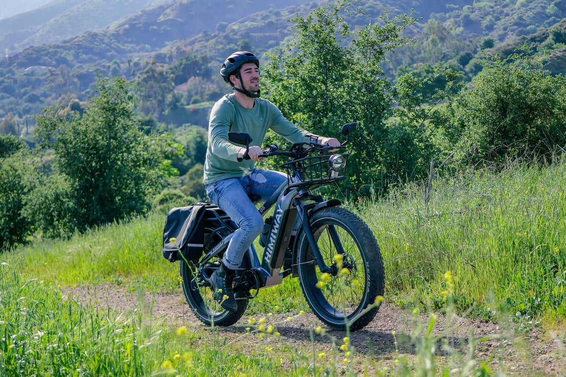 Himiway D5 Zebra Step-Over Fatbike in Grau – vielseitiges elektrisches Fatbike für jedes Gelände