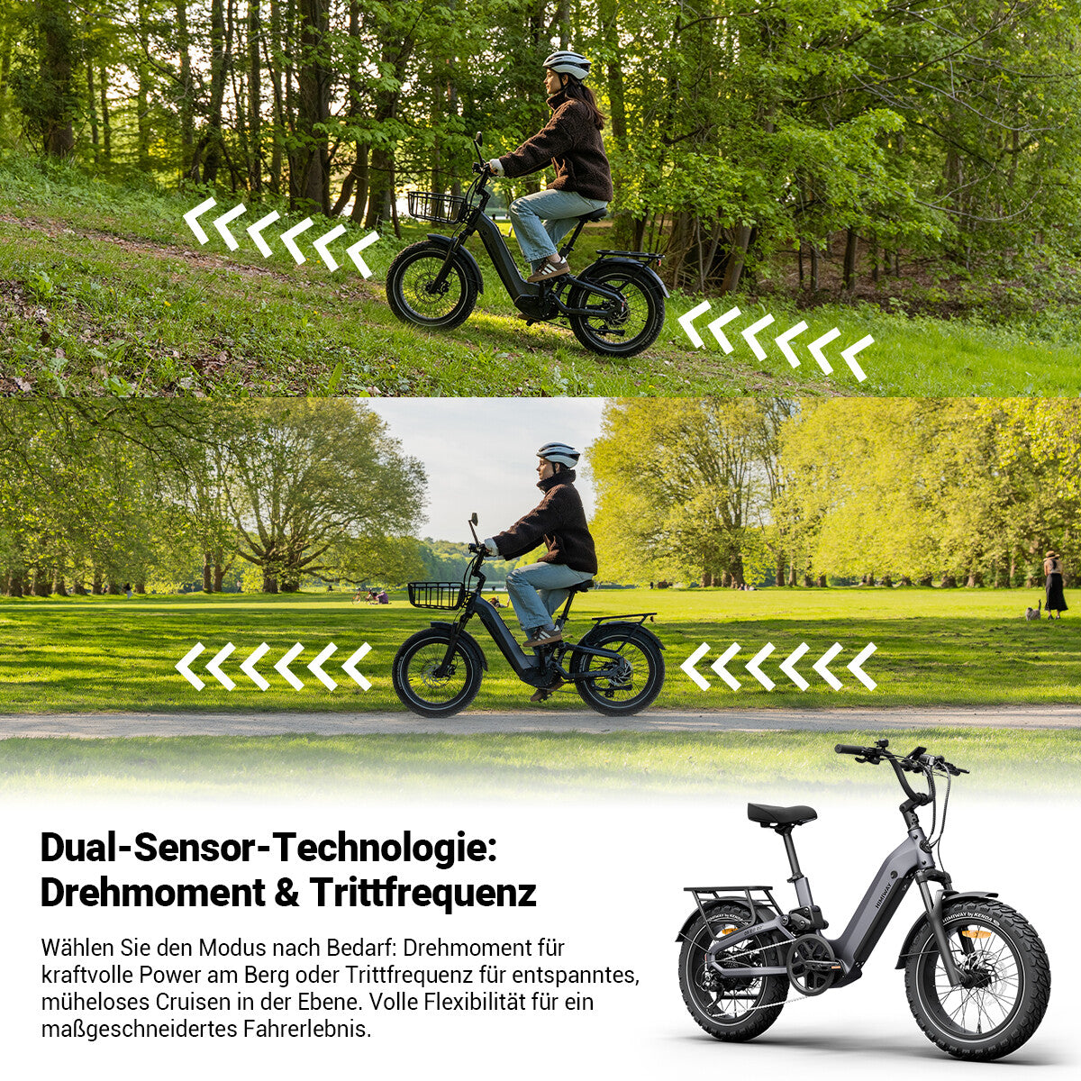Himiway D5 2.0 20″ Ready-to-Ride Paket