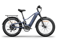 Himiway D5 2.0 e bike